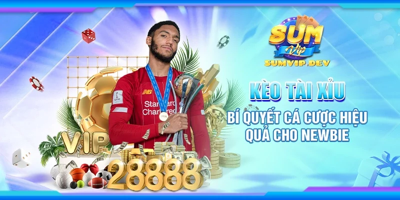 Kèo tài xỉu - Bí quyết cá cược hiệu quả cho newbie