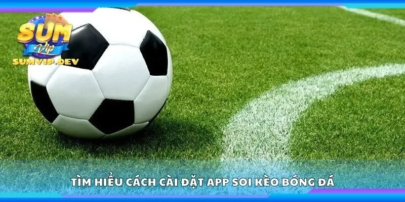 Tìm hiểu cách cài đặt app soi kèo bóng đá