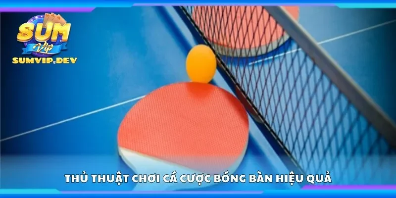 Thủ thuật chơi cá cược bóng bàn hiệu quả