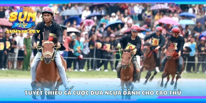 Tuyệt chiêu cá cược đua ngựa dành cho cao thủ