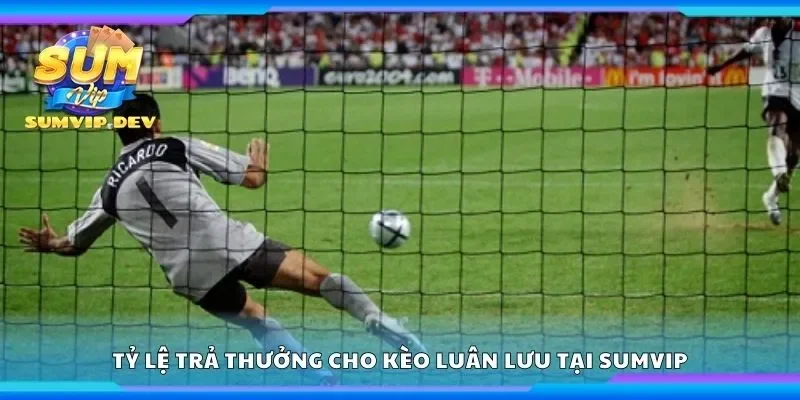 Khám phá tỷ lệ trả thưởng cho kèo luân lưu tại Sumvip