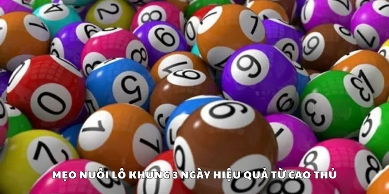 Mẹo nuôi lô khung 3 ngày hiệu quả từ cao thủ