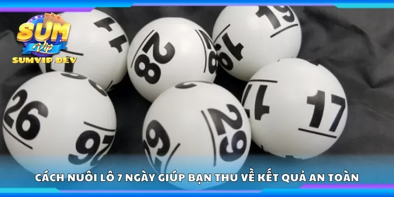 Cách nuôi lô 7 ngày giúp bạn thu về kết quả an toàn