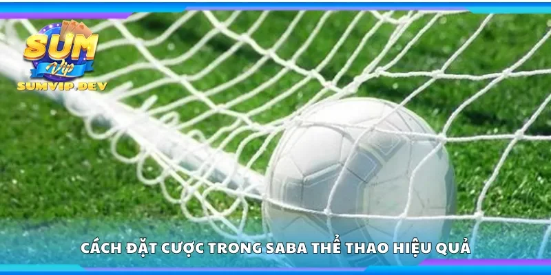 Hướng dẫn đặt cược trong Saba thể thao hiệu quả