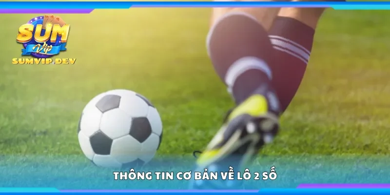 Thông tin cơ bản về lô 2 số