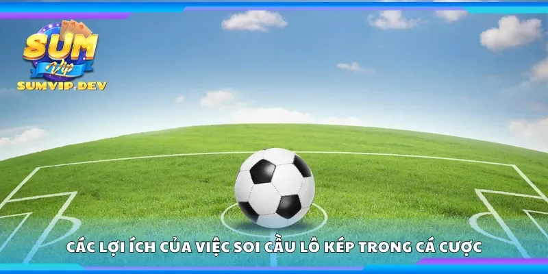 Các lợi ích của việc soi cầu lô kép trong cá cược