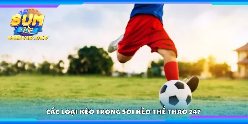 Các loại kèo trong soi kèo thể thao 247 cùng cách nhận định