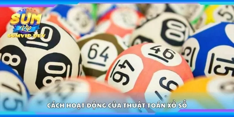 Khám phá cách hoạt động của thuật toán xổ số