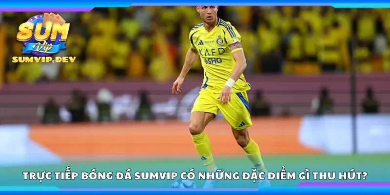 Trực tiếp bóng đá Sumvip có những đặc điểm gì thu hút?