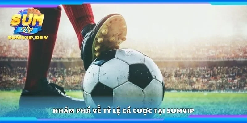 Khám phá về tỷ lệ cá cược tại Sumvip