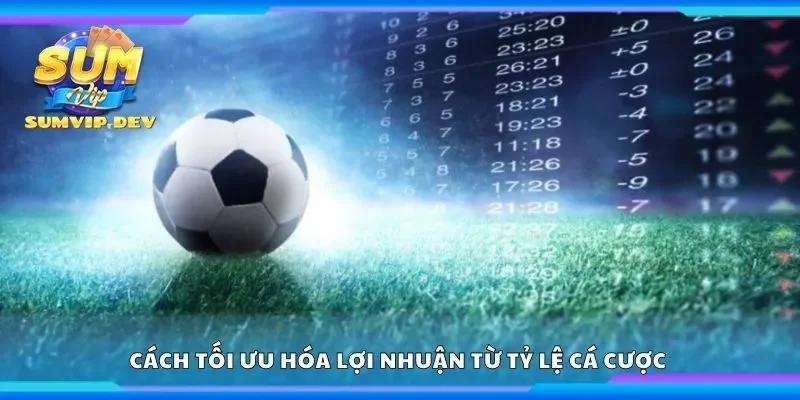 Tìm hiểu cách tối ưu hóa lợi nhuận từ tỷ lệ cá cược 