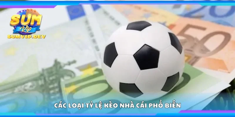 Các loại tỷ lệ kèo nhà cái phổ biến