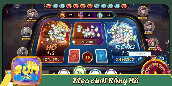 Mẹo chơi Rồng Hổ bám sát quy tắc và cách đặt cược dễ thắng