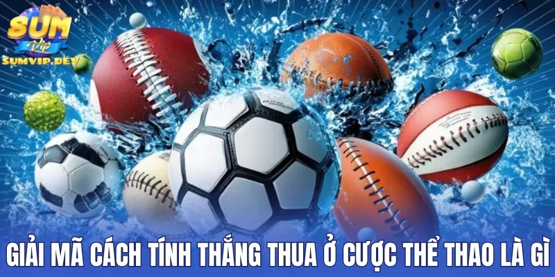 Giải mã cách tính thắng thua ở cược thể thao là gì